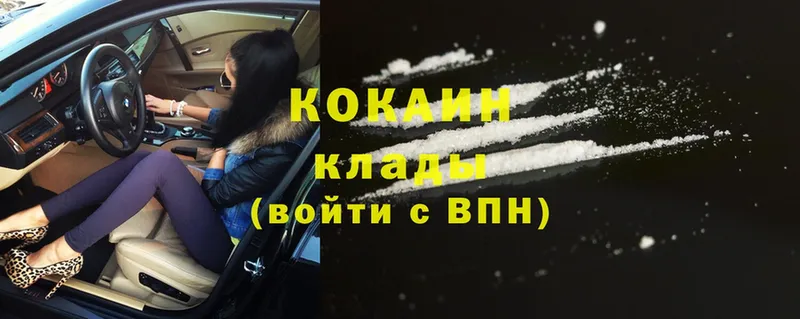 цена наркотик  Чегем  COCAIN FishScale 